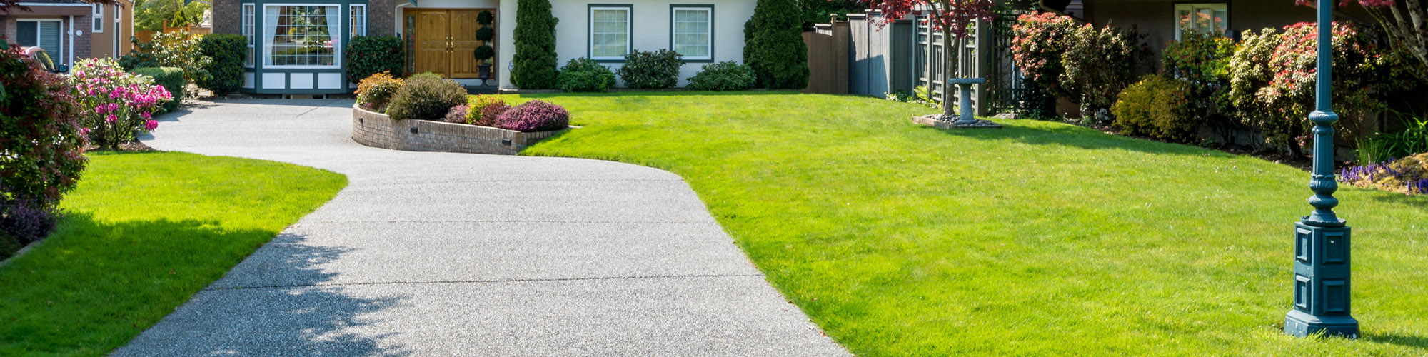 Healthy Lawn | Residential Hydroseeding in Southern California | Quality HydroSeeding